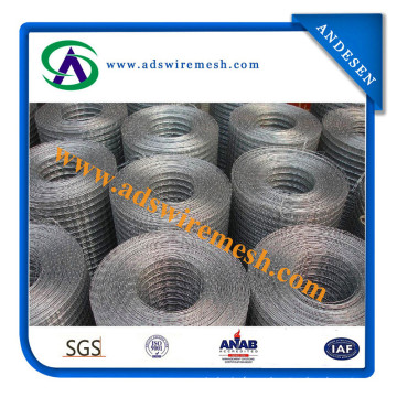 Strong Quality Welded Wire Mesh (Galvanized/PVC Coated)